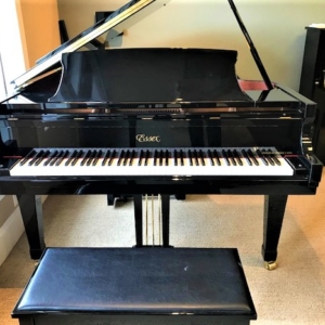 Image forEssex Grand-By Steinway – EGP-173