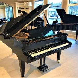 Image forBechstein Semi-Concert Grand B