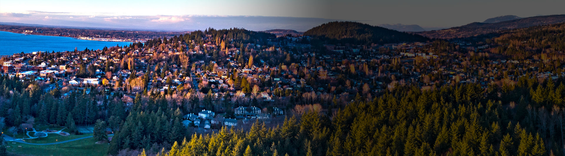 Aerial view of a scenic landscape with forests and a coastal city.