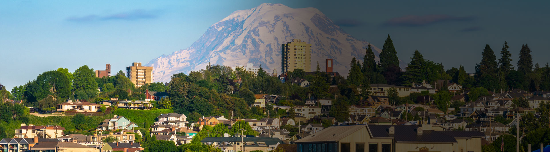 Cityscape with Mount Rainier in the background; trees and buildings in Seattle under clear skies.