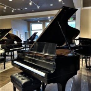 Image for Steinway & Sons Model B
