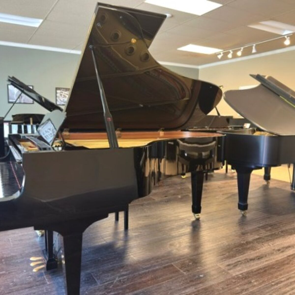 Yamaha C7 Conservatory Grand
