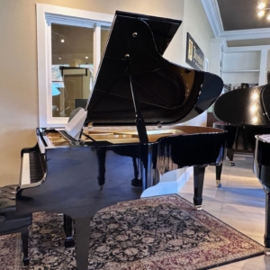 Image forEstonia Model L-210 Grand