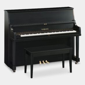 Image for Yamaha P22