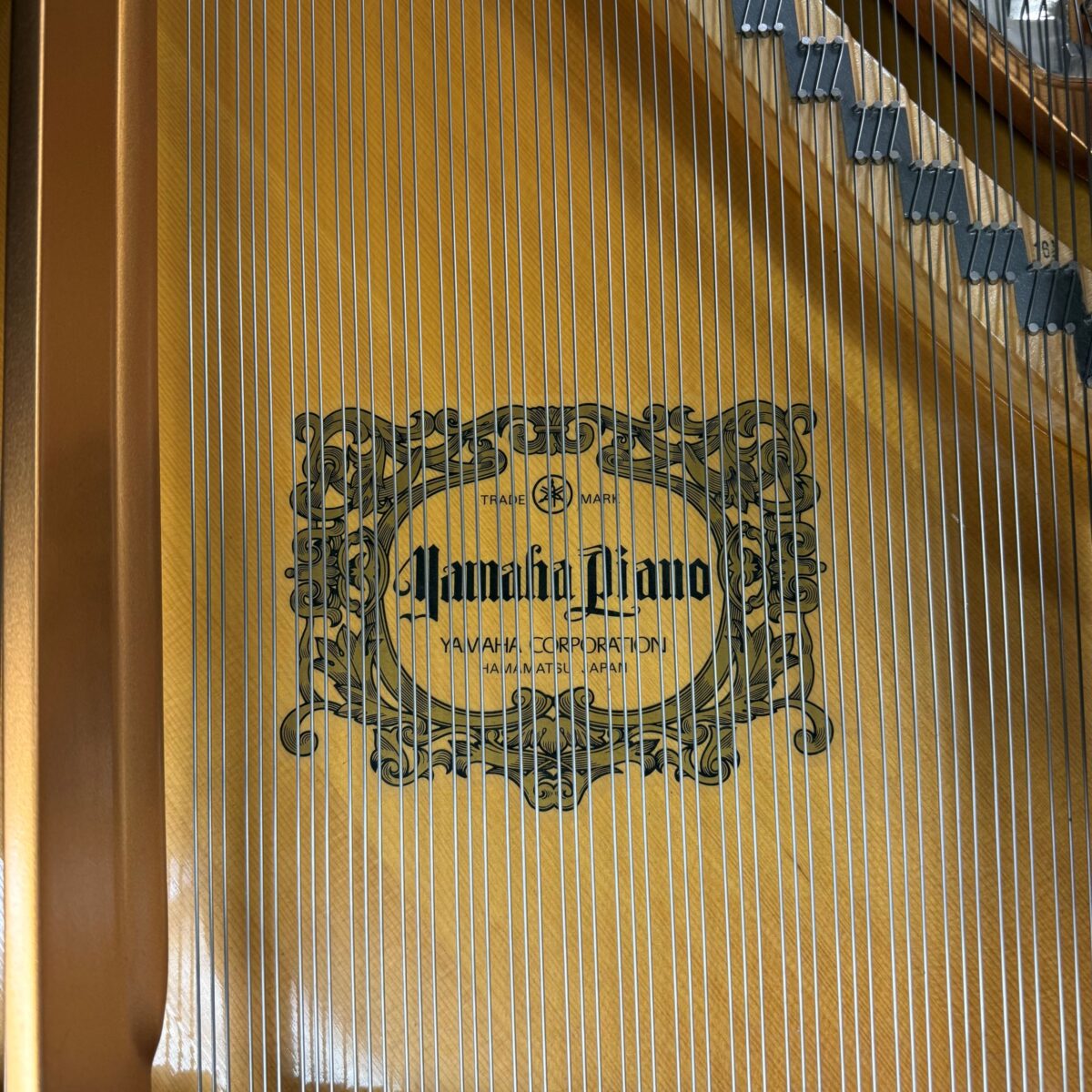Yamaha DCFIII Grand