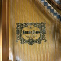 Yamaha DCFIII Grand