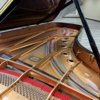 Yamaha DCFIII Grand