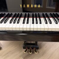 Yamaha DCFIII Grand