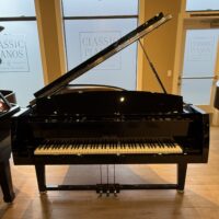 Sauter “Vivace” Grand