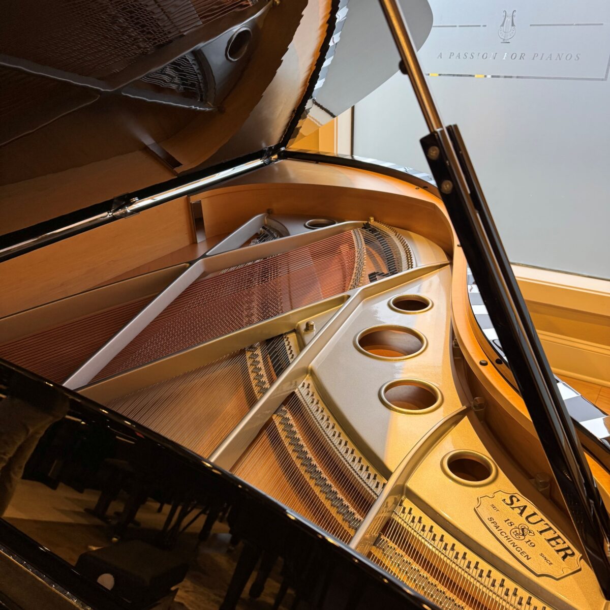 Sauter “Vivace” Grand