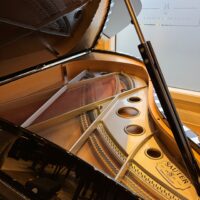 Sauter “Vivace” Grand