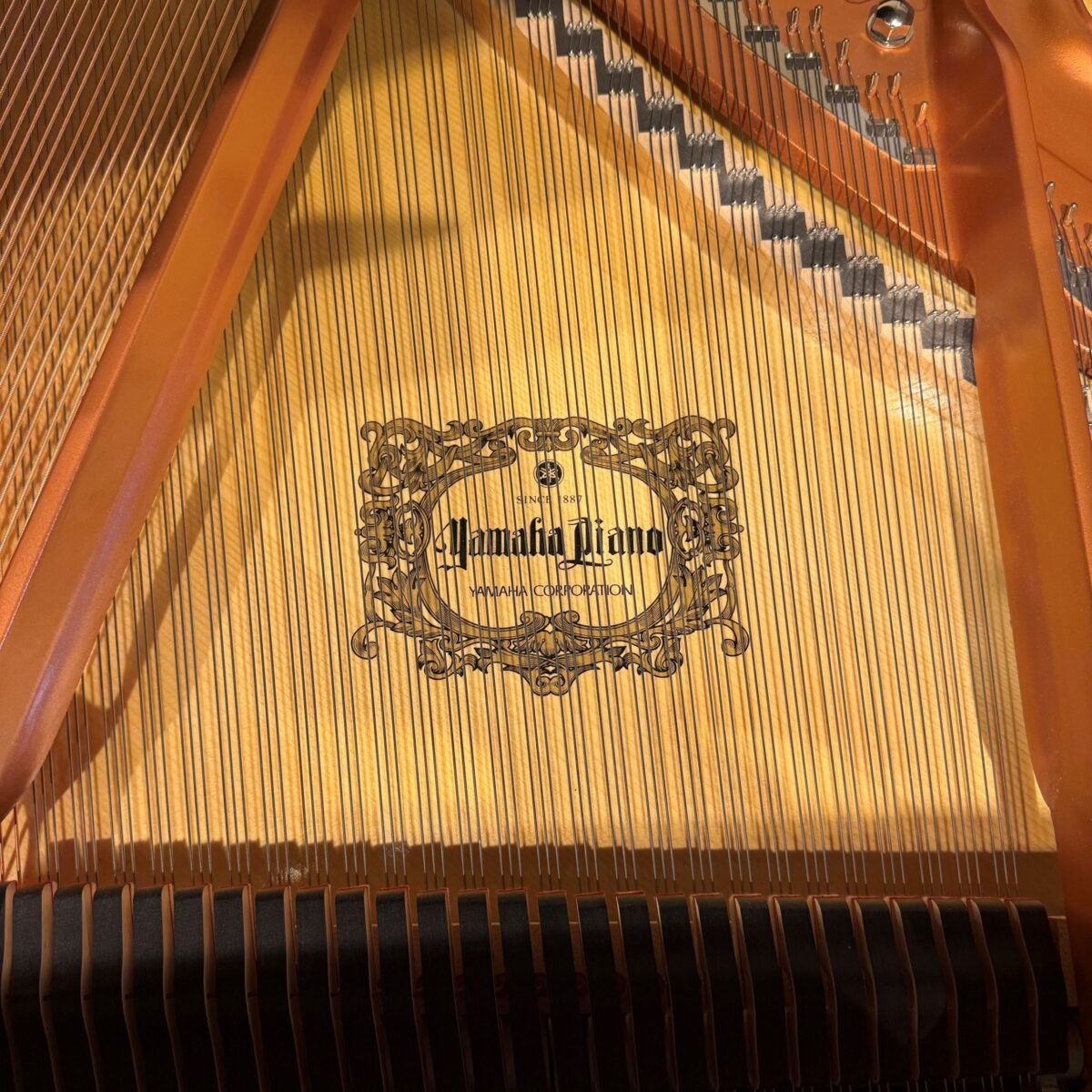 Yamaha C2X SH2 Silent Grand