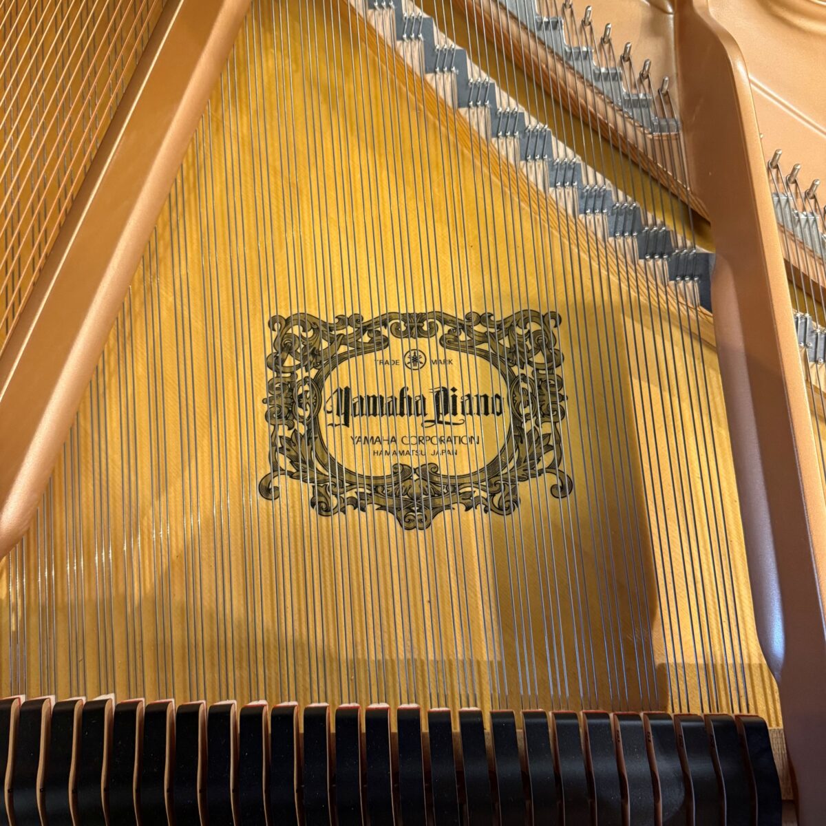 Yamaha C3 Grand