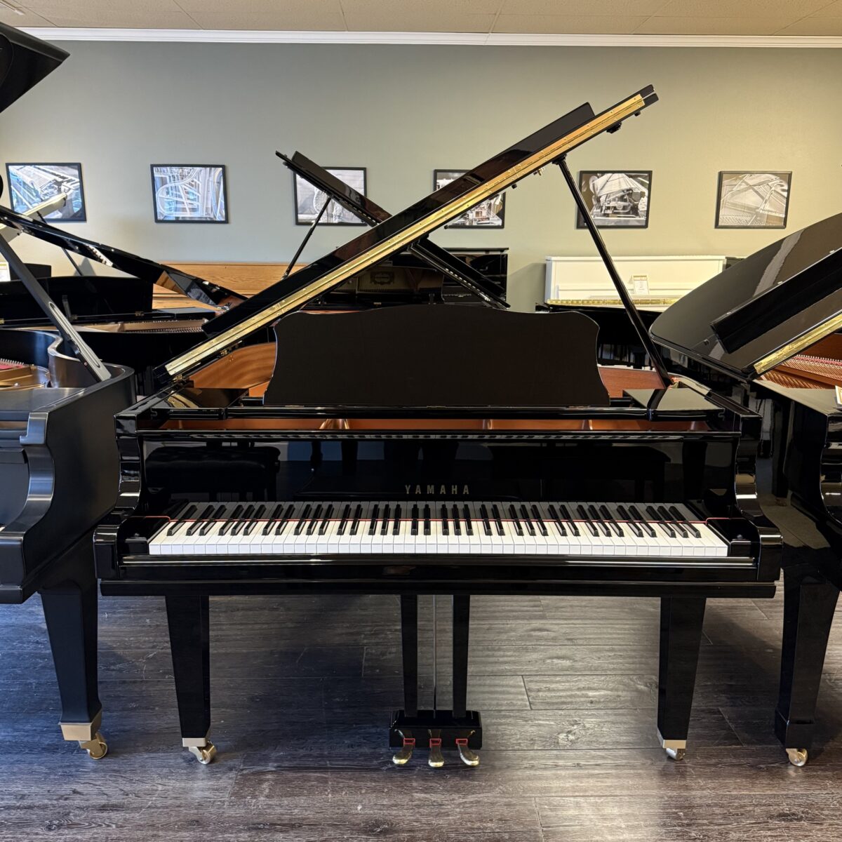 Yamaha GC1 Grand
