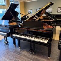 Yamaha GC1 Grand