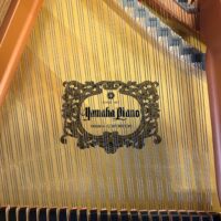 Yamaha GC1 Grand