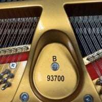 Mason & Hamlin Model B Grand
