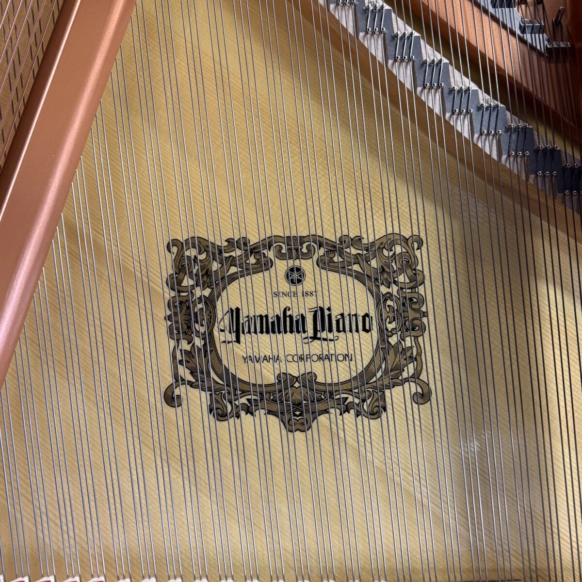 Yamaha GC2 Grand