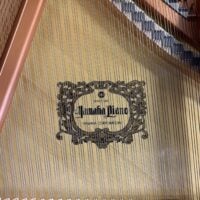 Yamaha GC2 Grand