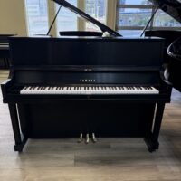 Yamaha P22 Upright
