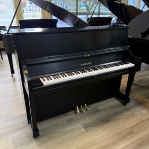 Image forYamaha P22 Upright