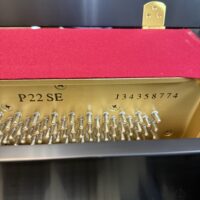 Yamaha P22 Upright