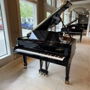 Image for Hamburg Steinway & Sons Model B Grand