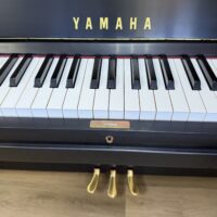 Yamaha P22 Upright