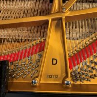Steinway & Sons Model D Concert Grand