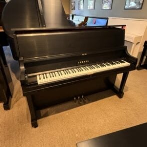 Image for Yamaha P22 Studio Upright