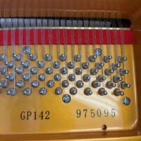 Fischer & Sons GP142 Grand