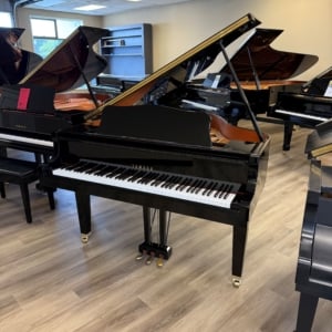 Image forYamaha GA1 Grand