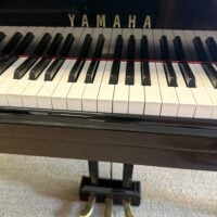 Yamaha GB1 Grand