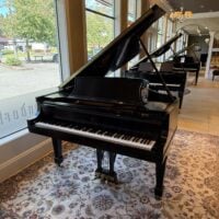 Elegant grand pianos showcased in Seattle's Classic Pianos showroom, featuring polished ebony finishes and premium craftsmanship.