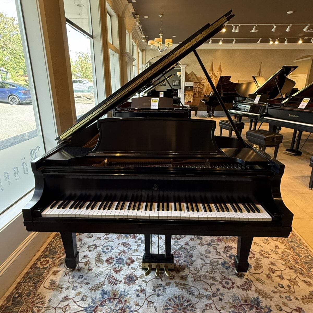 Steinway & Sons Model B Grand