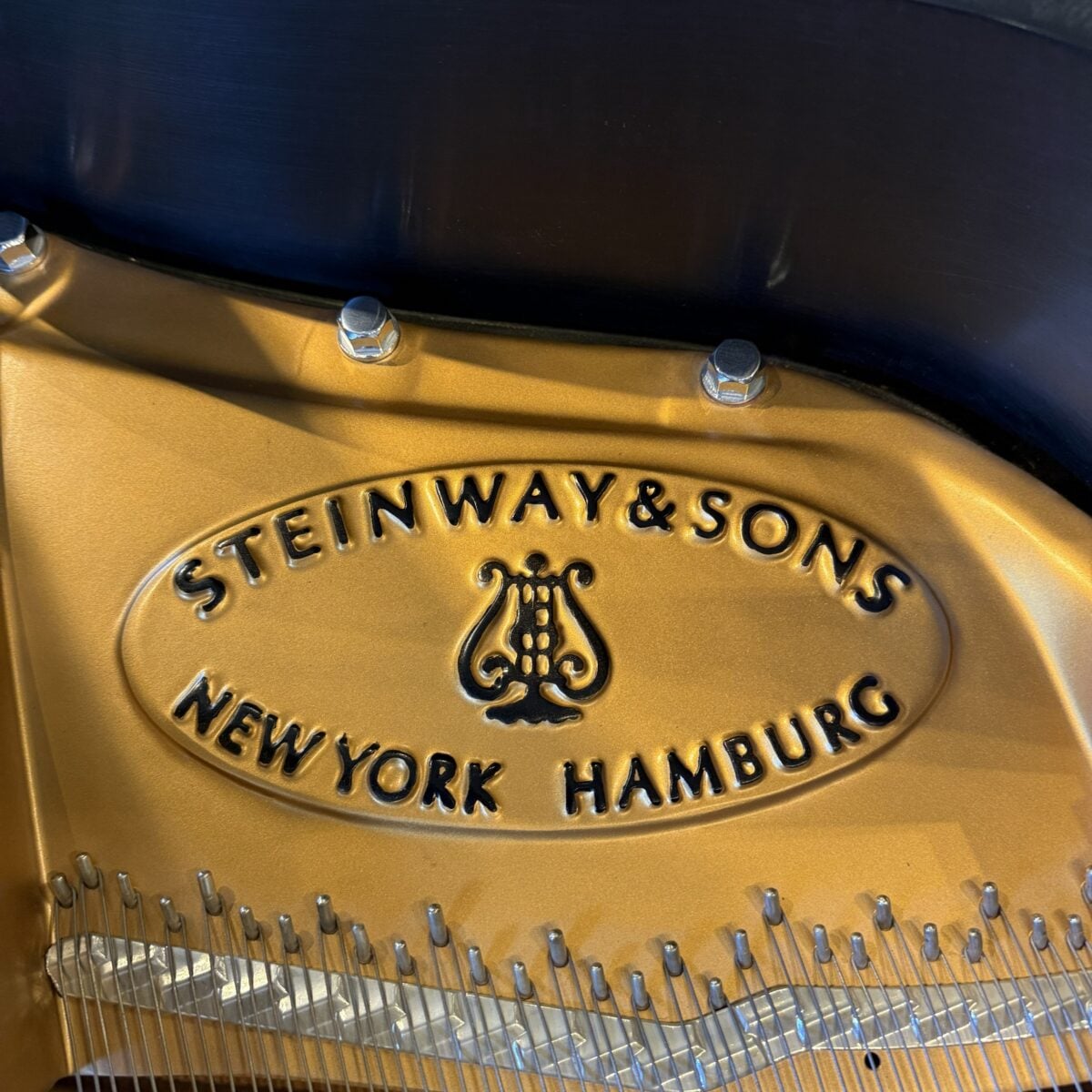 Steinway & Sons Model B Grand