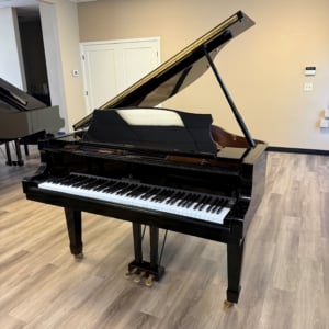 Image forYoung Chang GS-150 Grand