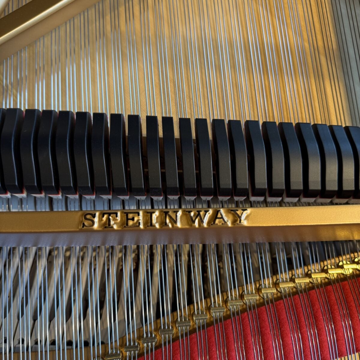 Steinway & Sons Model B Grand