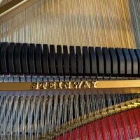 Steinway & Sons Model B Grand