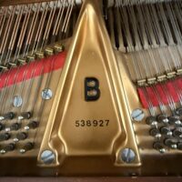 Steinway & Sons Model B Grand
