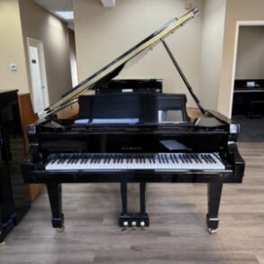 Image for Samick WFG-215 Grand