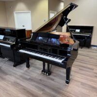Samick WFG-215 Grand