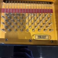 Schimmel SP174 Grand