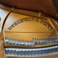 Steinway & Sons Model M Grand