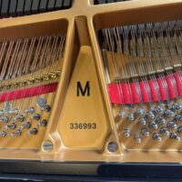 Steinway & Sons Model M Grand
