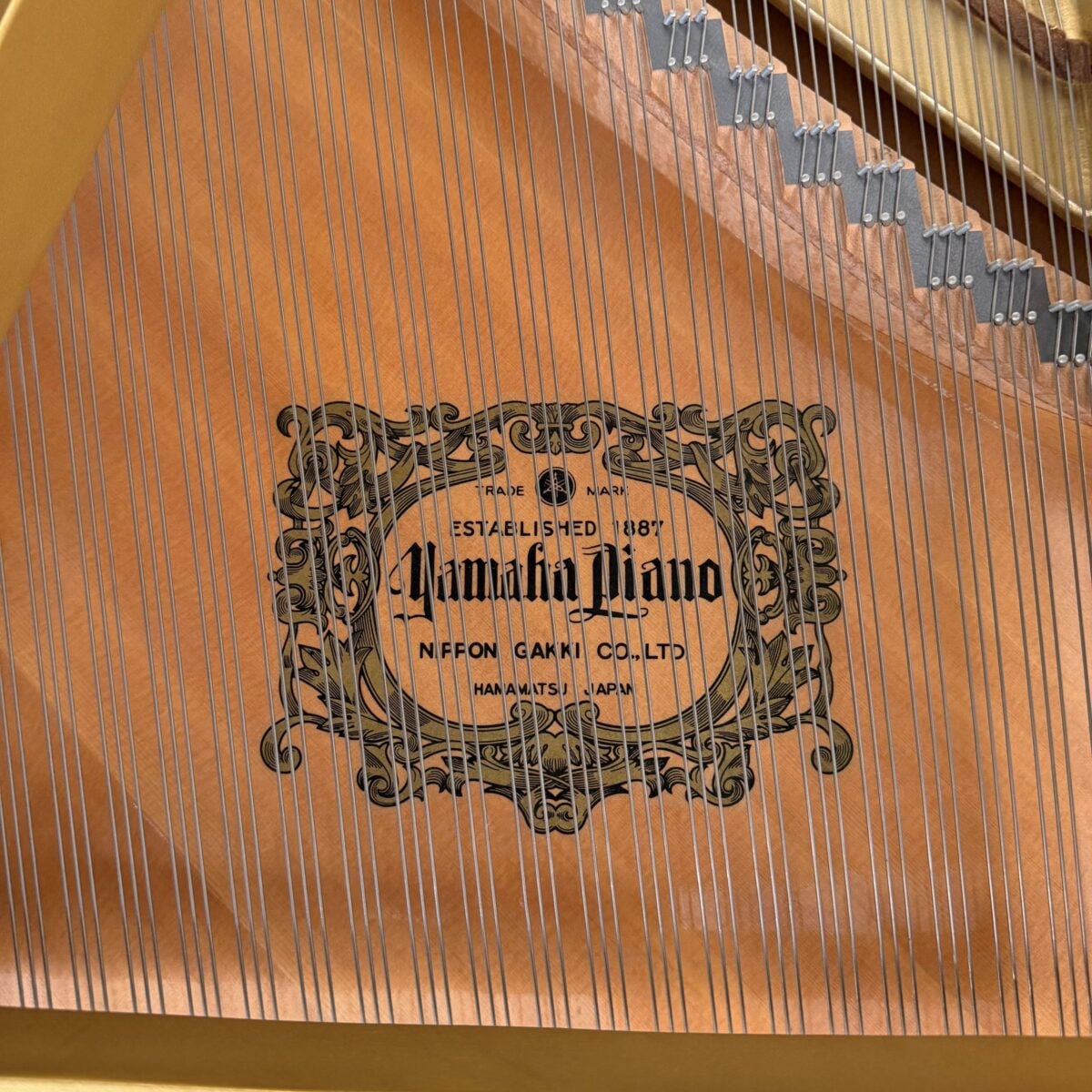 Yamaha G1 Grand