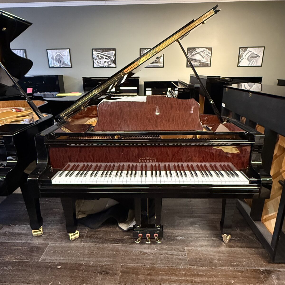 Estonia L168 Hidden Beauty Silent Grand