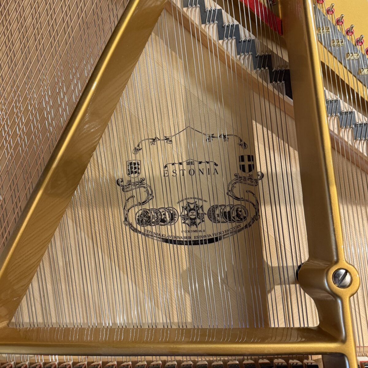 Estonia L168 Hidden Beauty Silent Grand