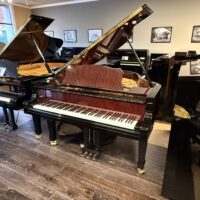 Estonia L168 Hidden Beauty Silent Grand