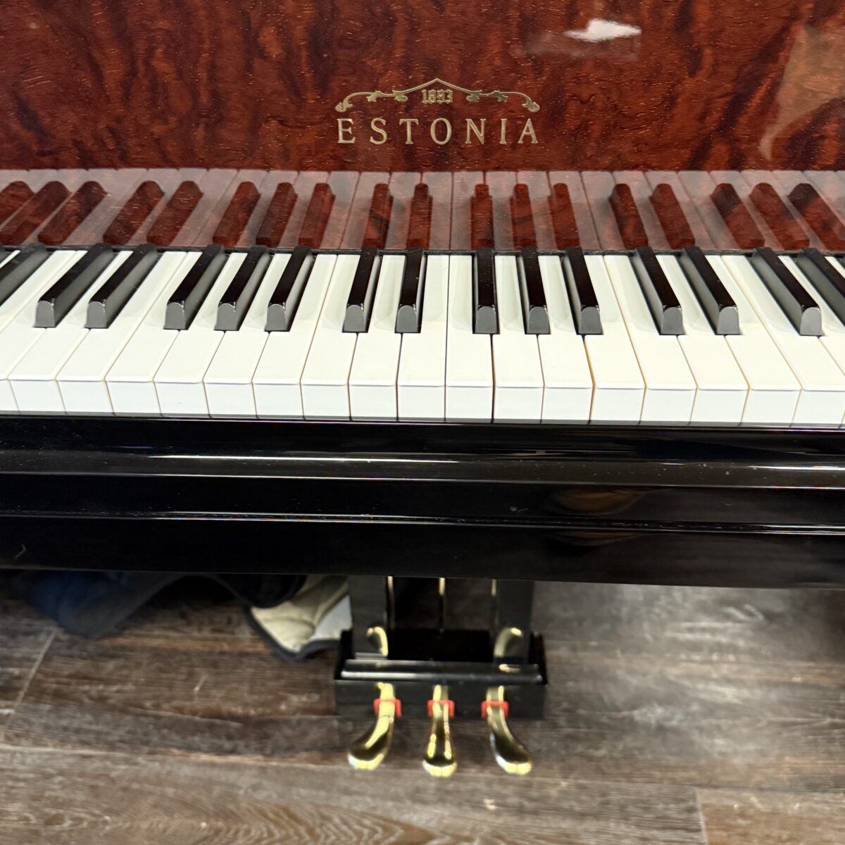 Estonia L168 Hidden Beauty Silent Grand